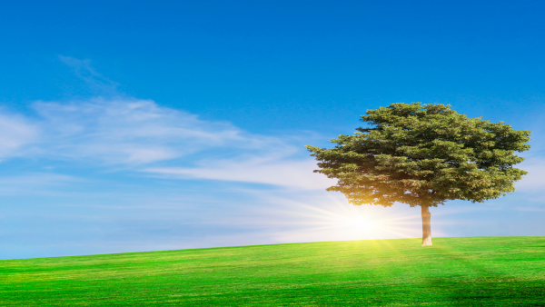 介護業界で探す新しいキャリア！介護士以外の求人で見つけるあなたの居場所